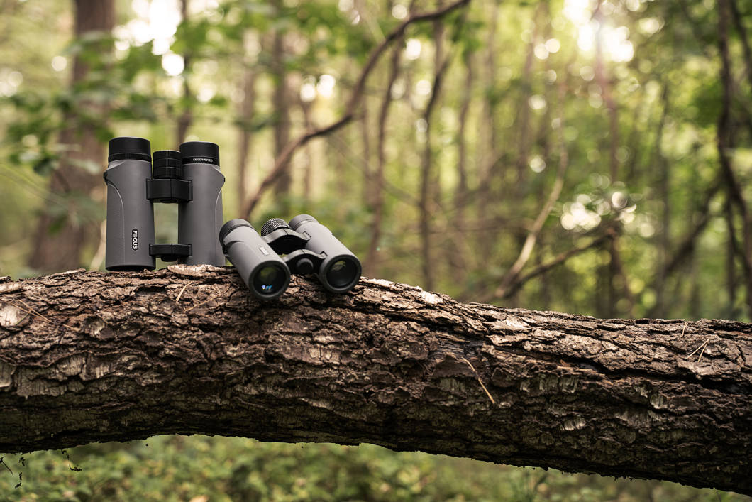 Focus Sport Optics Focus Observer 8x34 ED