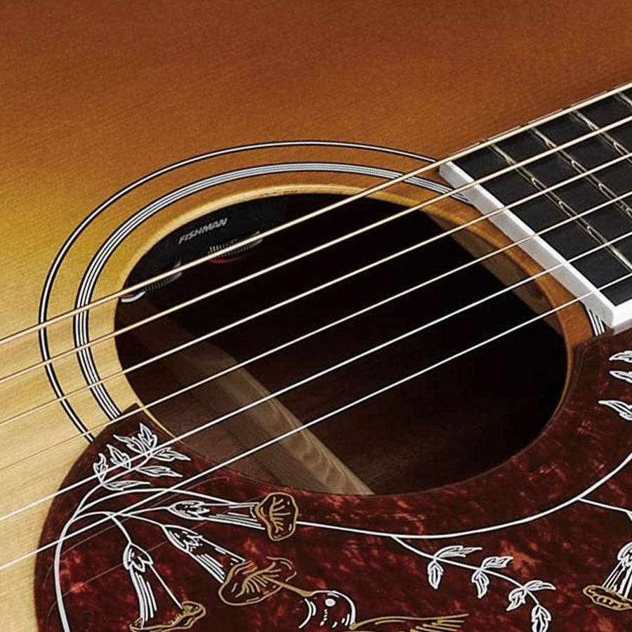 Sigma DM-SG5 Fishman Sonitone med Softshell Case