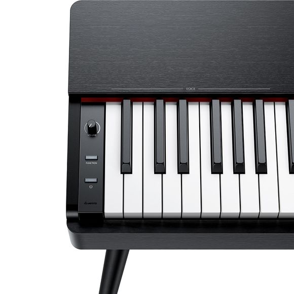 Donner Oura S100 el-piano